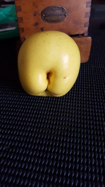 Jolie pomme!