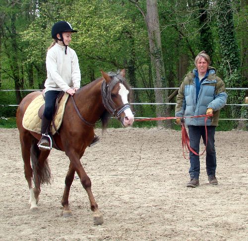 Longe, selle, tapis et sac à pattate tres bien