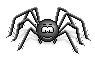 une araignée