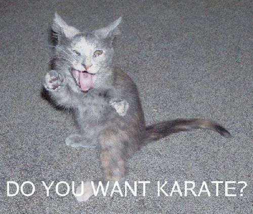 Do you want Karate ?