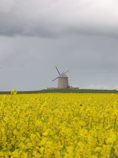 moulin de MOIDREY près du Mont