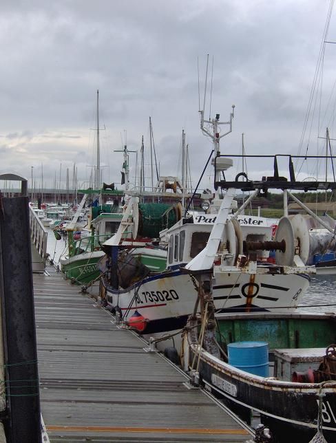 Le port de pêche d'Etaples. 