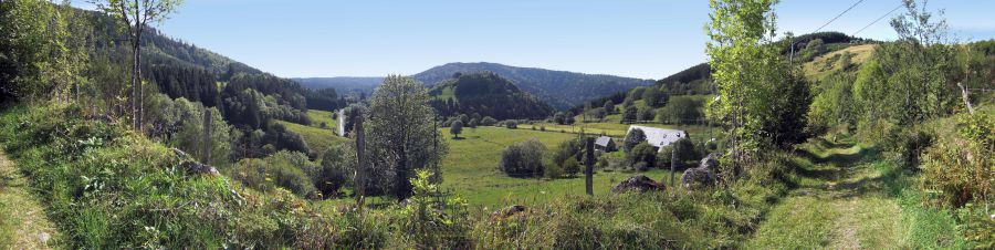 chemin du Vendeix bas (Auvergne 2011)