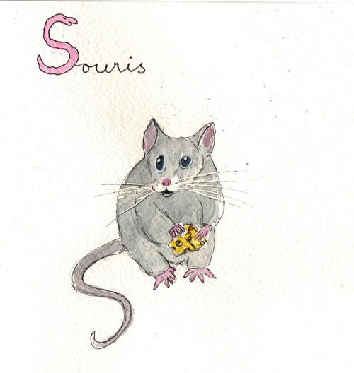 S - Souris.jpg