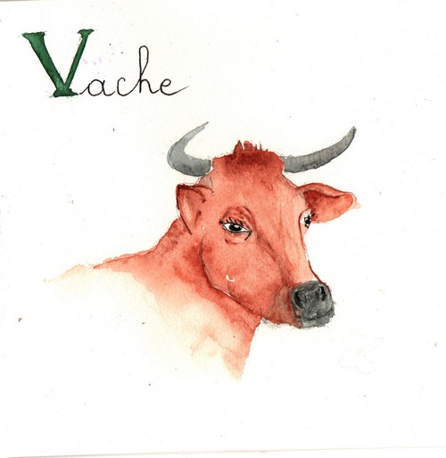 V - Vache.jpg