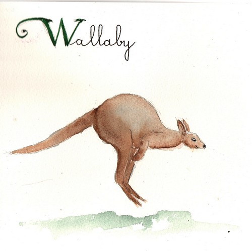 W - Wallaby.jpg