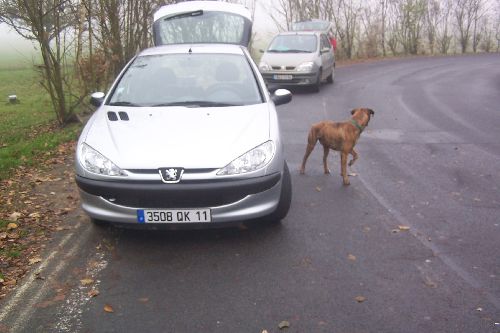 Sur l\'aire d\'Autoroute il faut être prudent... je renifle un éventuel danger !