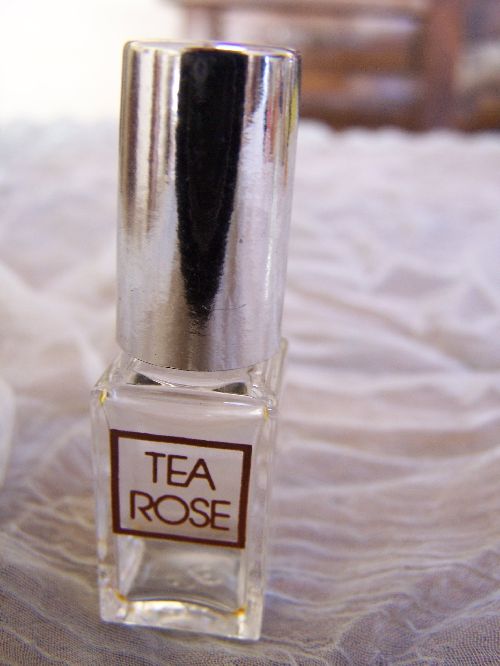 mini Tea rose Workshop