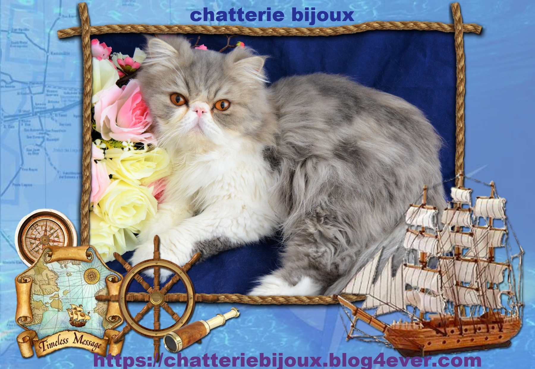 CHATTERIE   BIJOUX