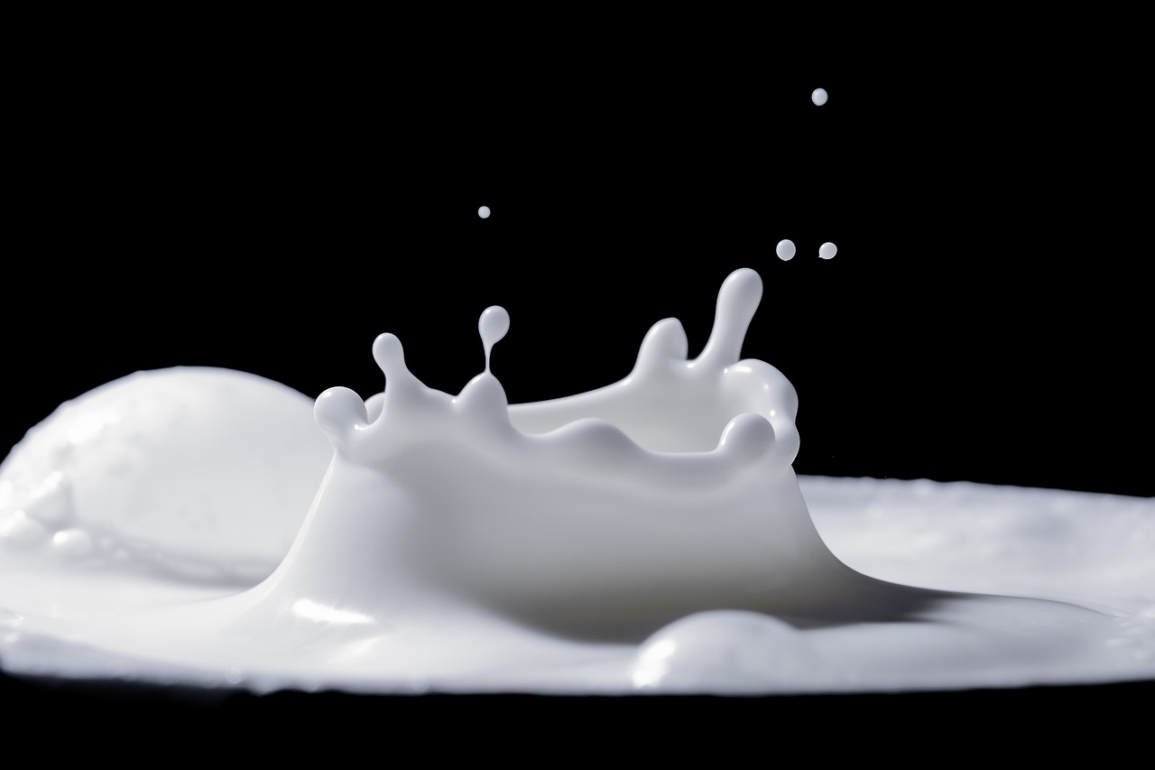 milk le lait éclaboussure ricochet temporel