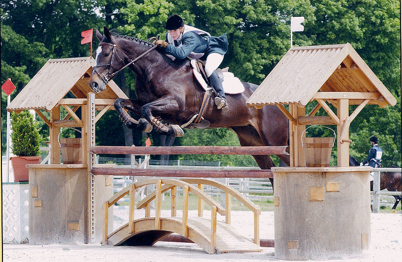 Concours de Saut d'Obstacle (C.S.O)