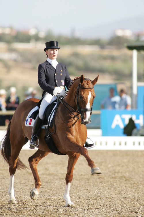 Dressage