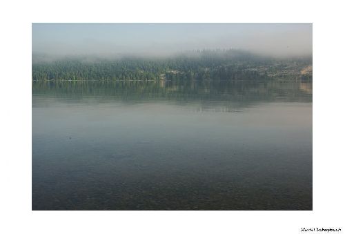 Lac de Joux... le printemps est enfin là :-))