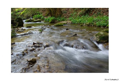 Vallon de Vaux