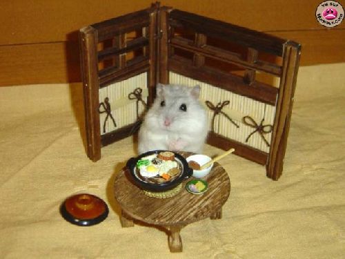 Le Repas du hamster.