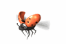 coccinelle002.gif