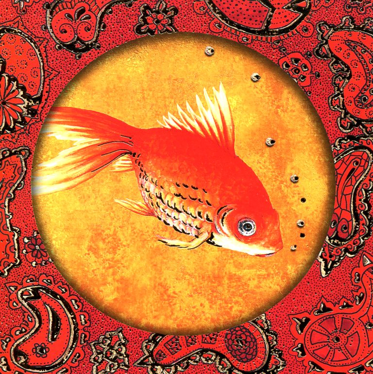 poisson rouge - 26.jpg