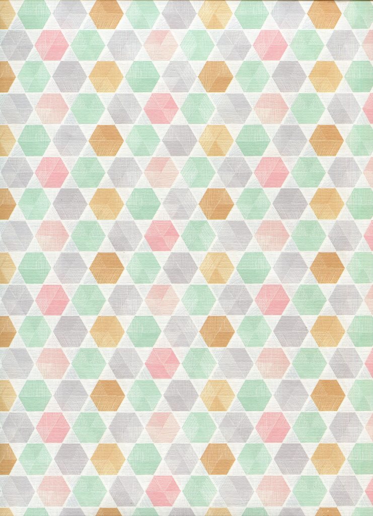 hexagone pastel.jpg