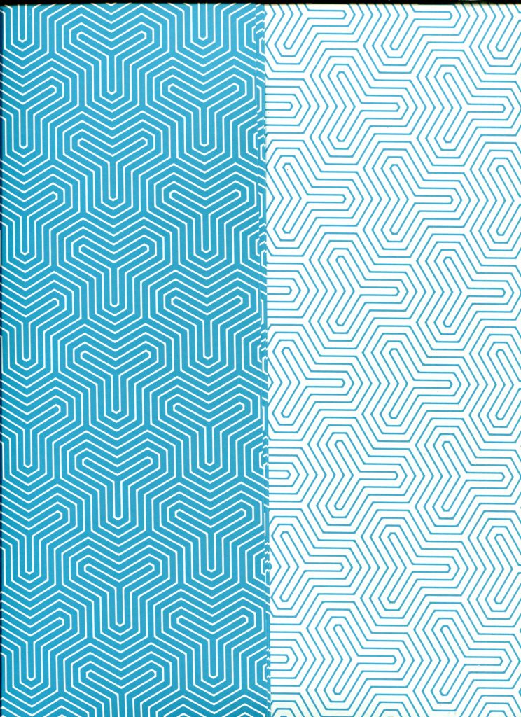 illusion rectoverso bleu.jpg