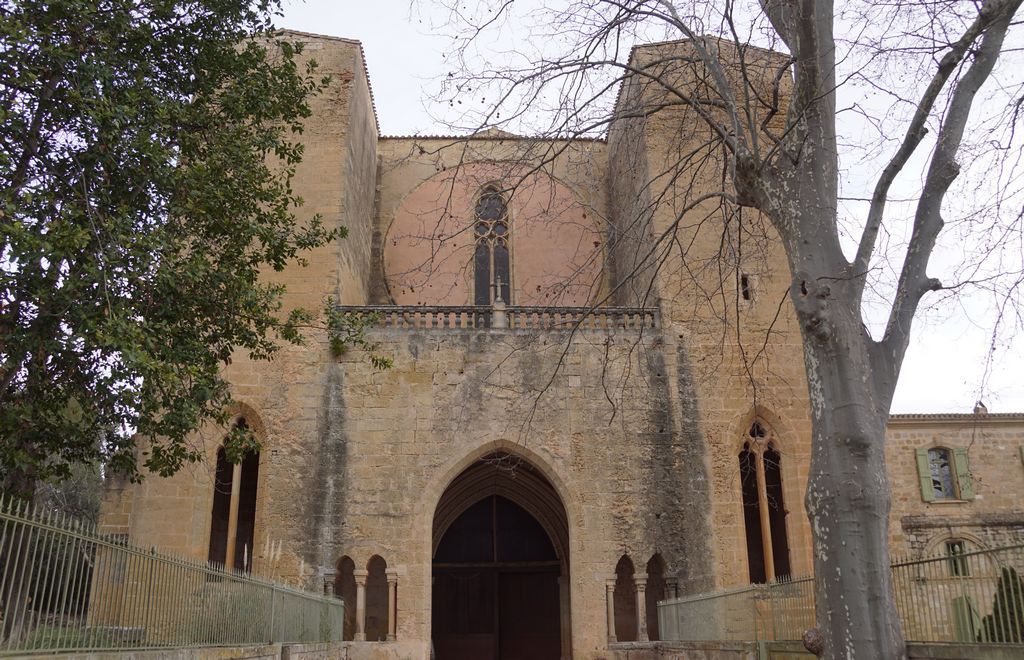 Abbaye de Valmagne (7)