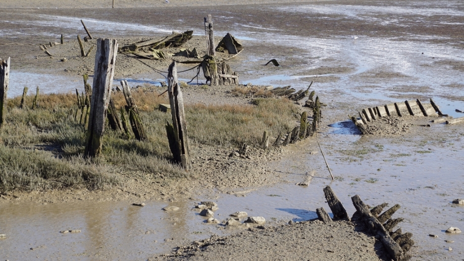 Noirmoutier 2016 (36).JPG