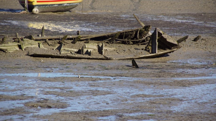 Noirmoutier 2016 (39).JPG