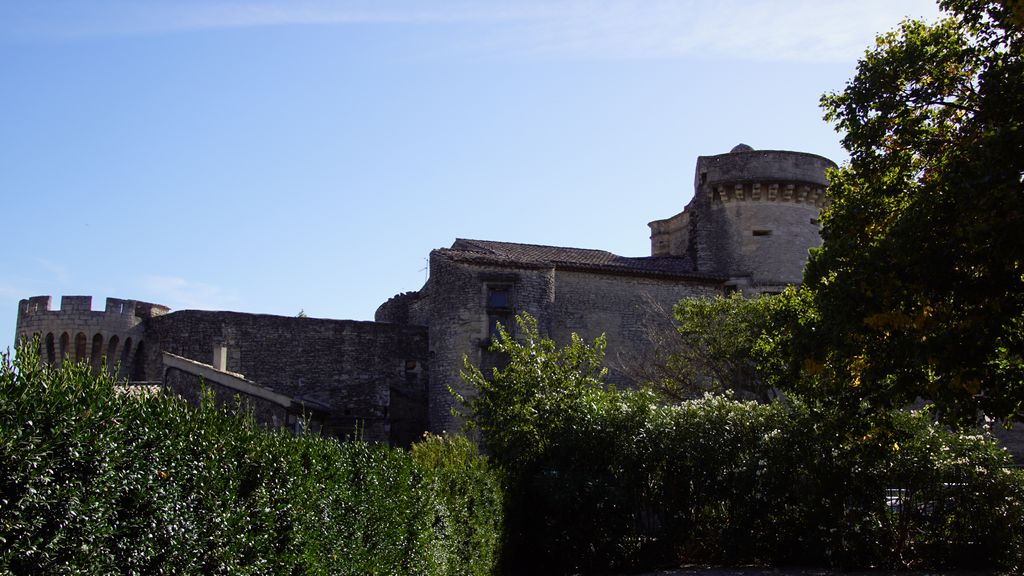 Depuis 1000 ans la masse imposante du château domine la vallée et donne au village son allure de citadelle imprenable.