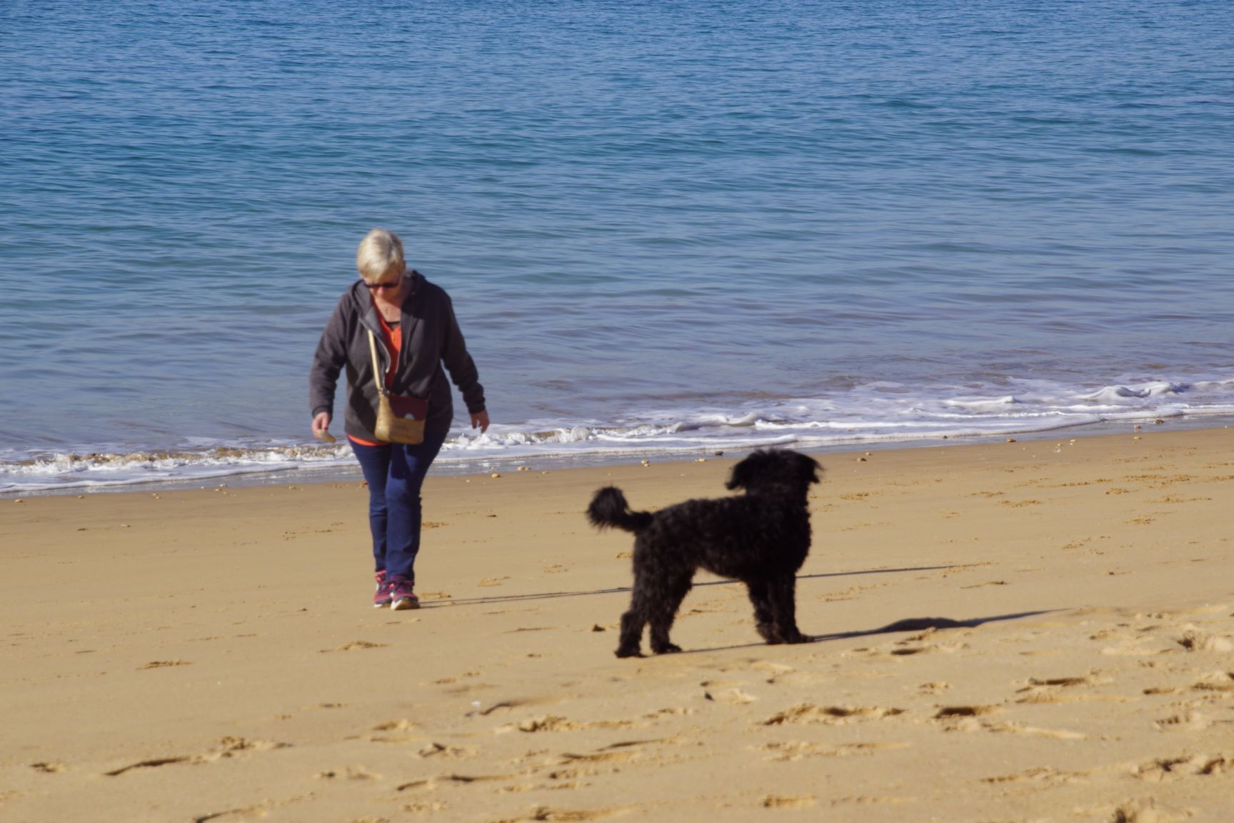 Balade sur la plage avec Pépite