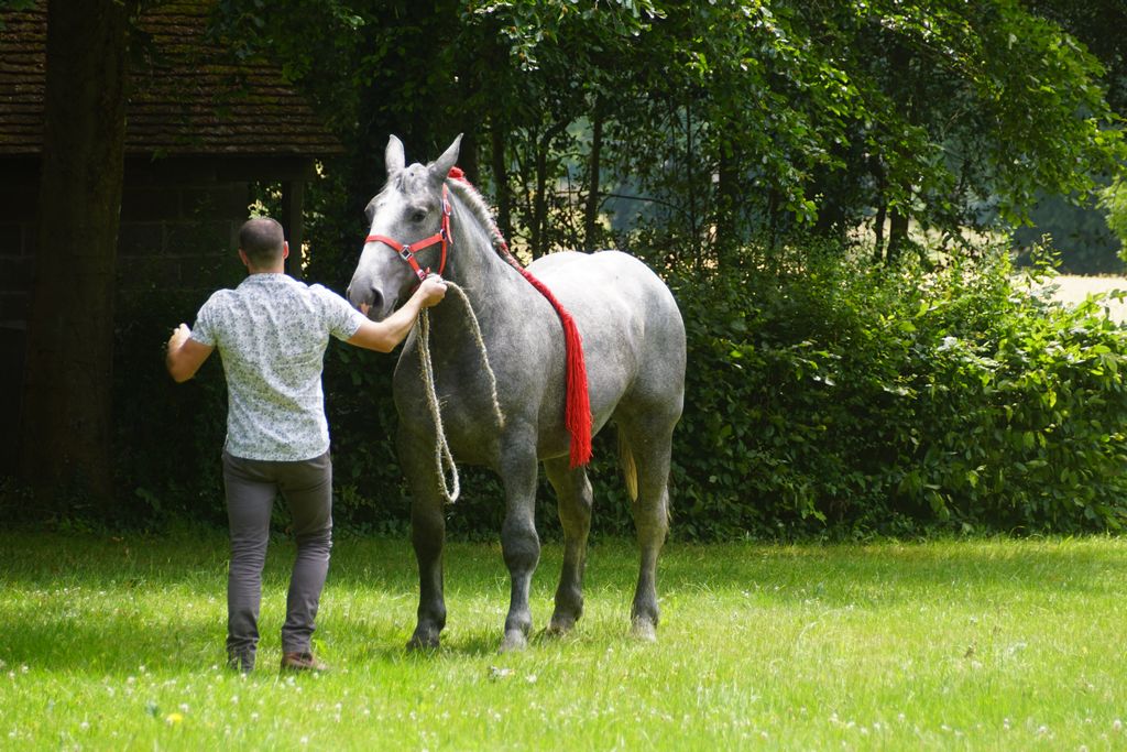 Chamfrémont (10)