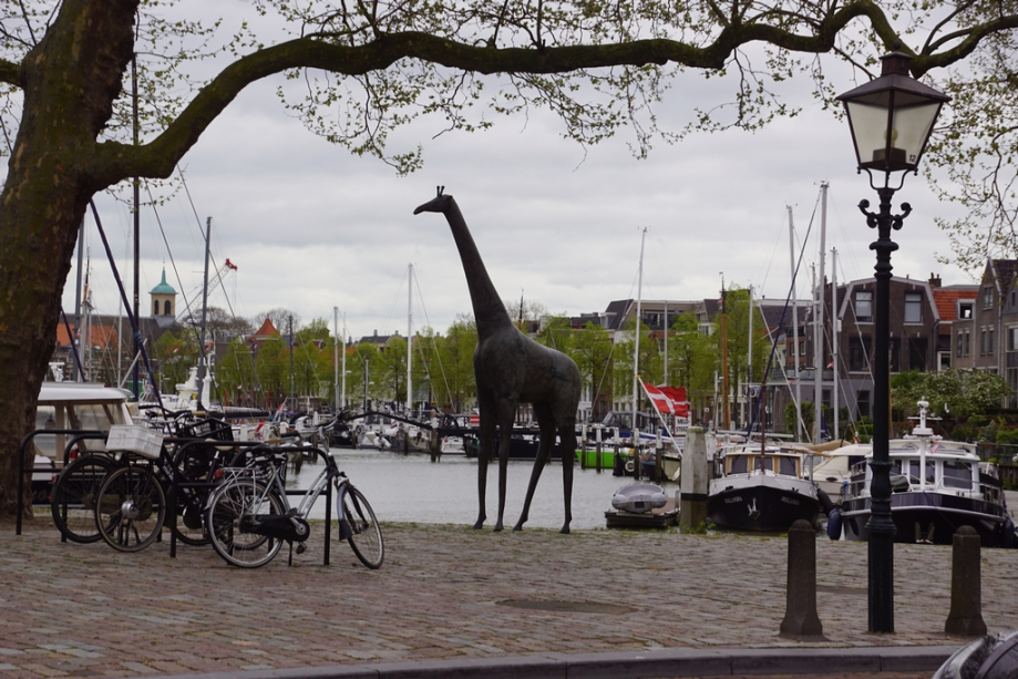 Dordrecht (54)