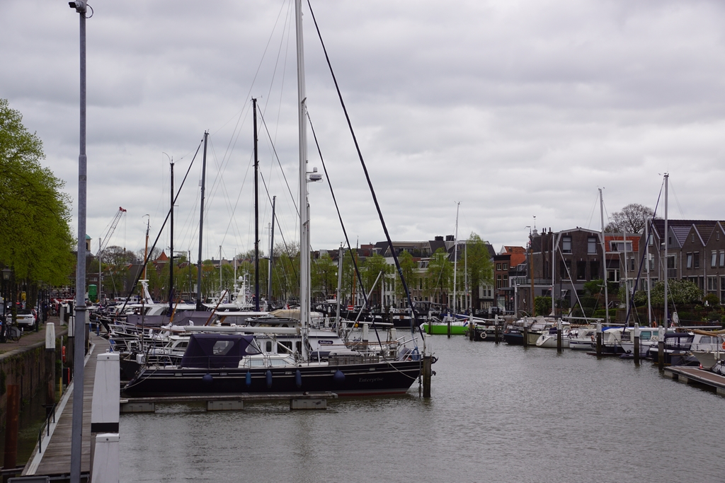 Dordrecht (55)