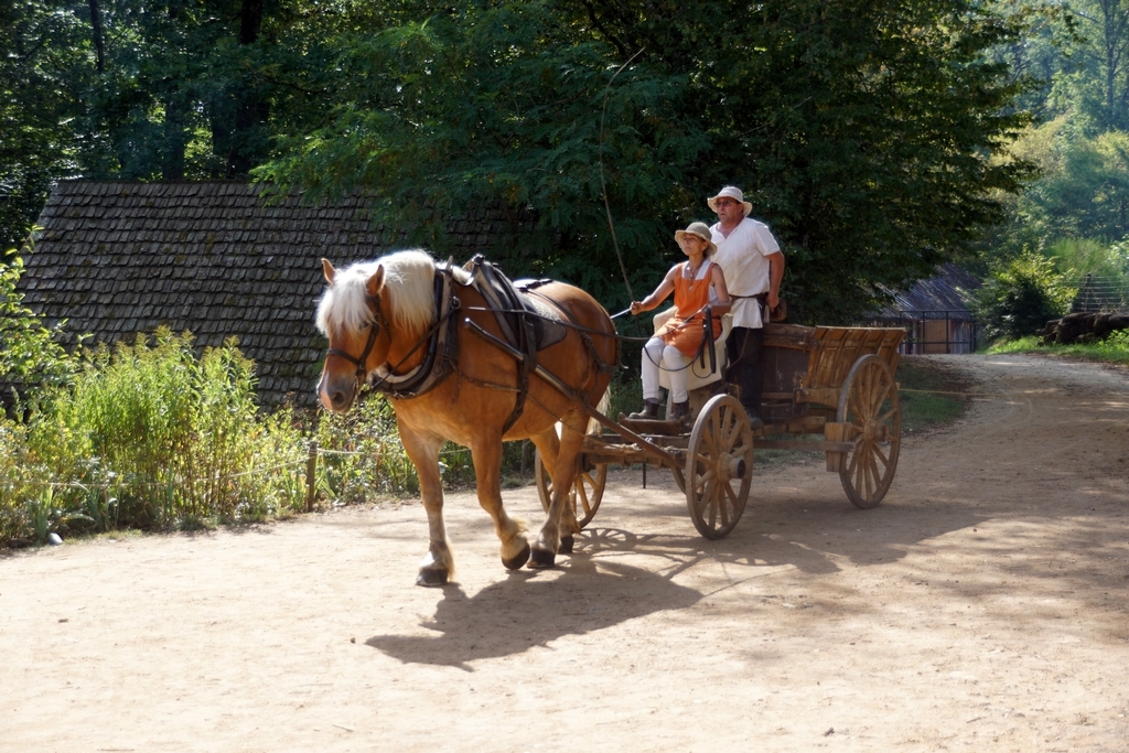 Guédelon (51)