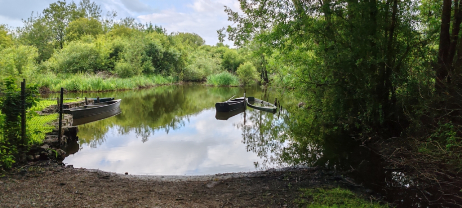 île Fedrun (1)