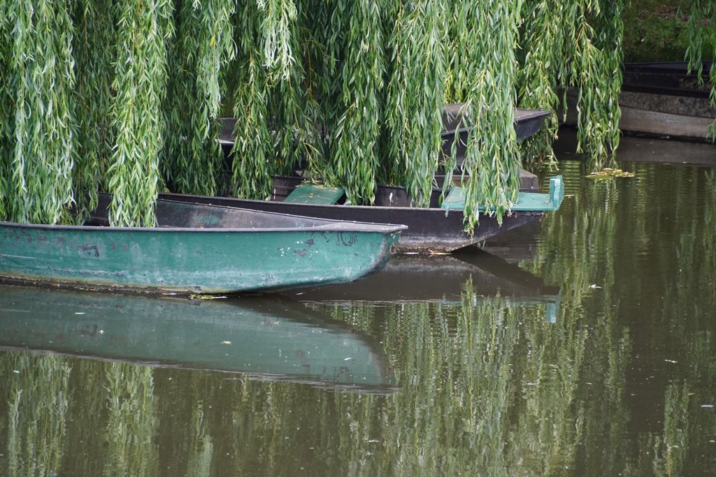 Marais Poitevin (47)