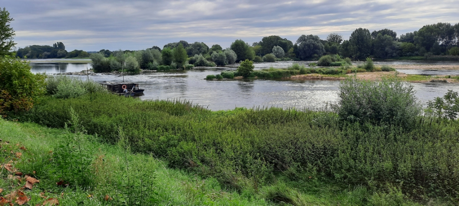 Meung Sur Loire (122)