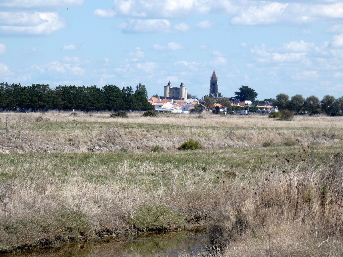 Noirmoutier 2020 (19)