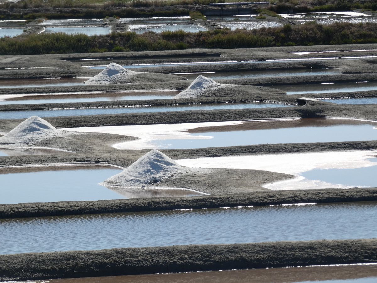 Noirmoutier 2020 (70)