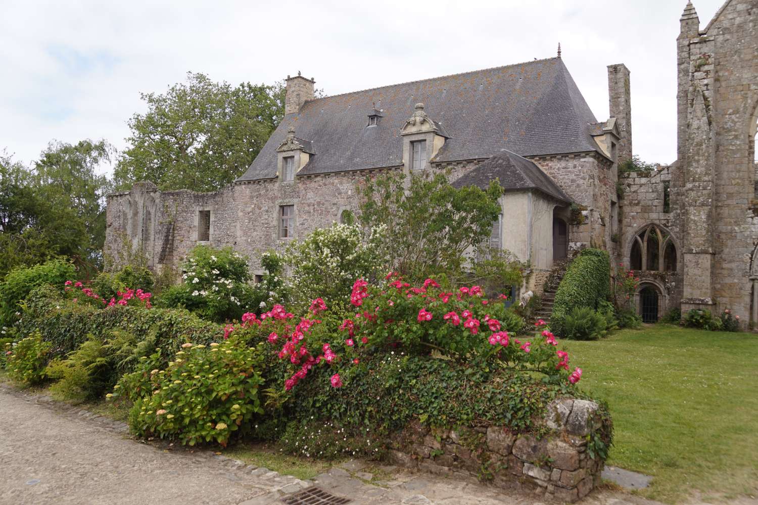 Paimpol Abbaye de Beauport (23)