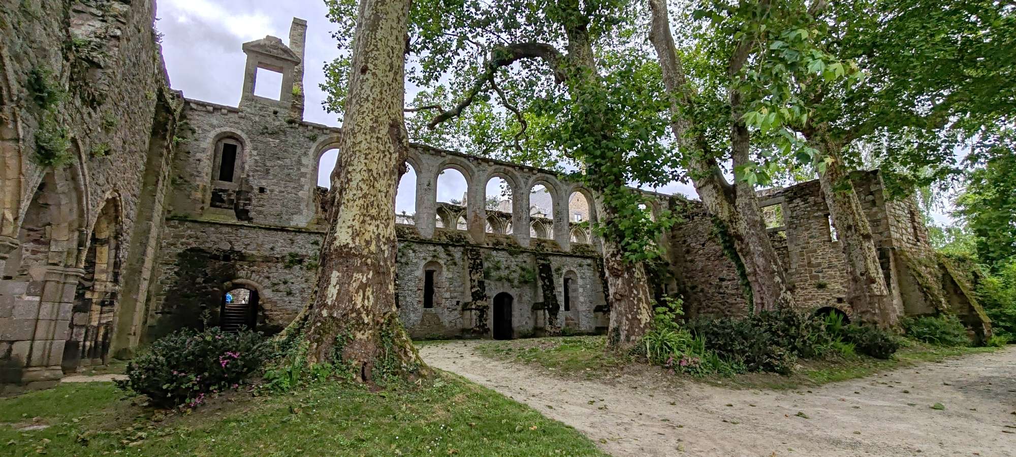Paimpol Abbaye de Beauport (6)
