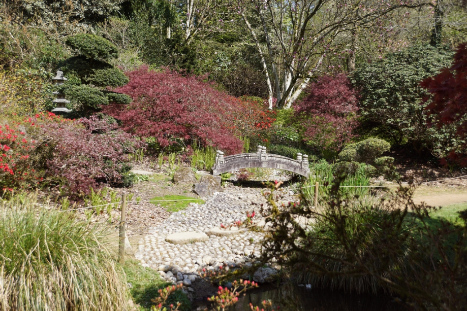 Parc Botanique de Haute Bretagne (64)