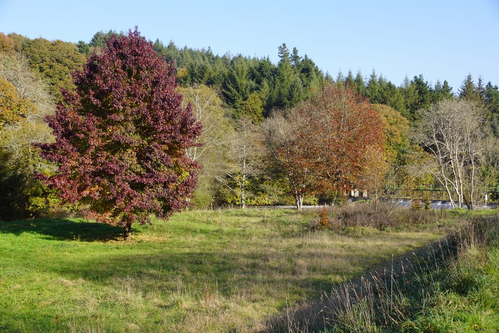 Pont Augan (32)