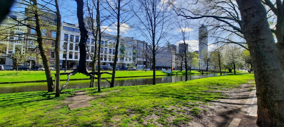 Rotterdam (45)