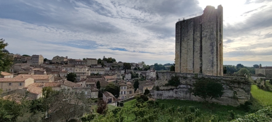 Saint Emilion (10)