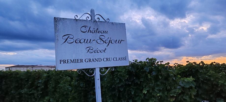 Saint Emilion (11bis)