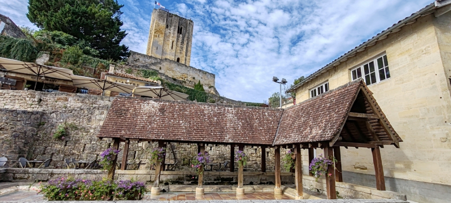 Saint Emilion (12)