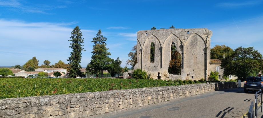 Saint Emilion (22)