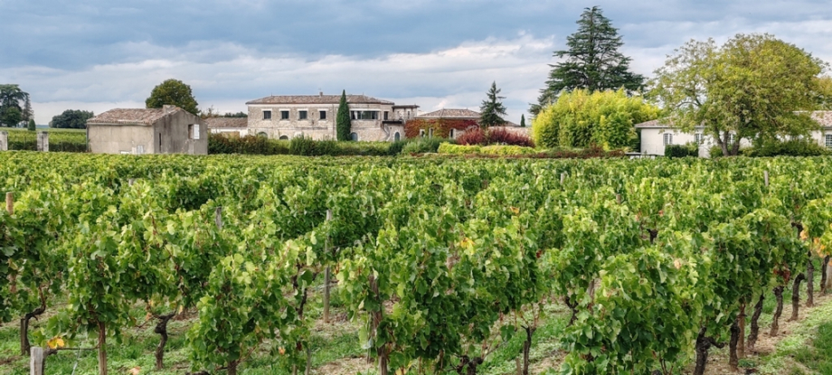Saint Emilion (2)