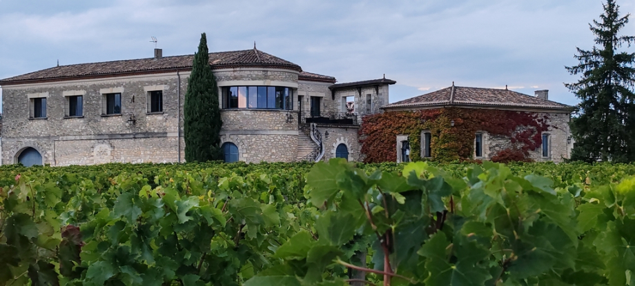 Saint Emilion (4)