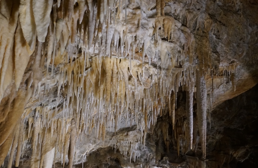 Villefrance De Conflent Grottes de Canalettes (25)