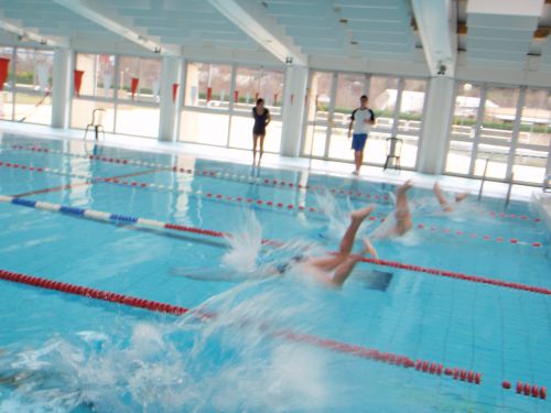 Tous dans le bain!